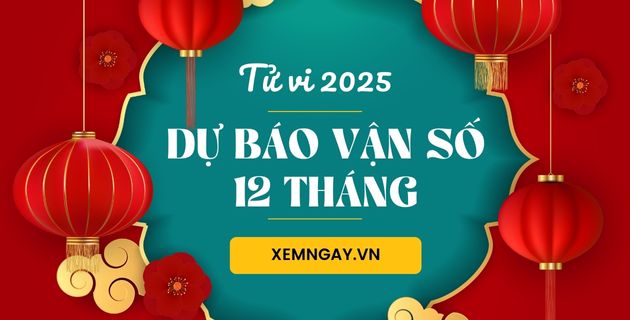 tử vi 12 tháng năm 2025