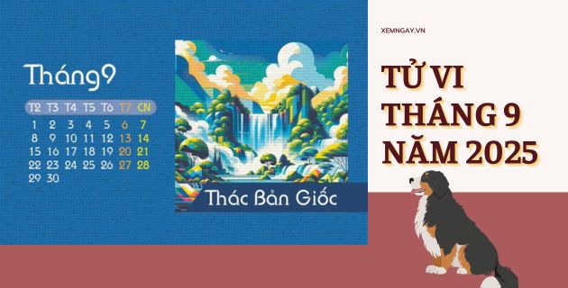 tử vi 12 tháng năm 2025