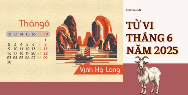 tử vi 12 tháng năm 2025